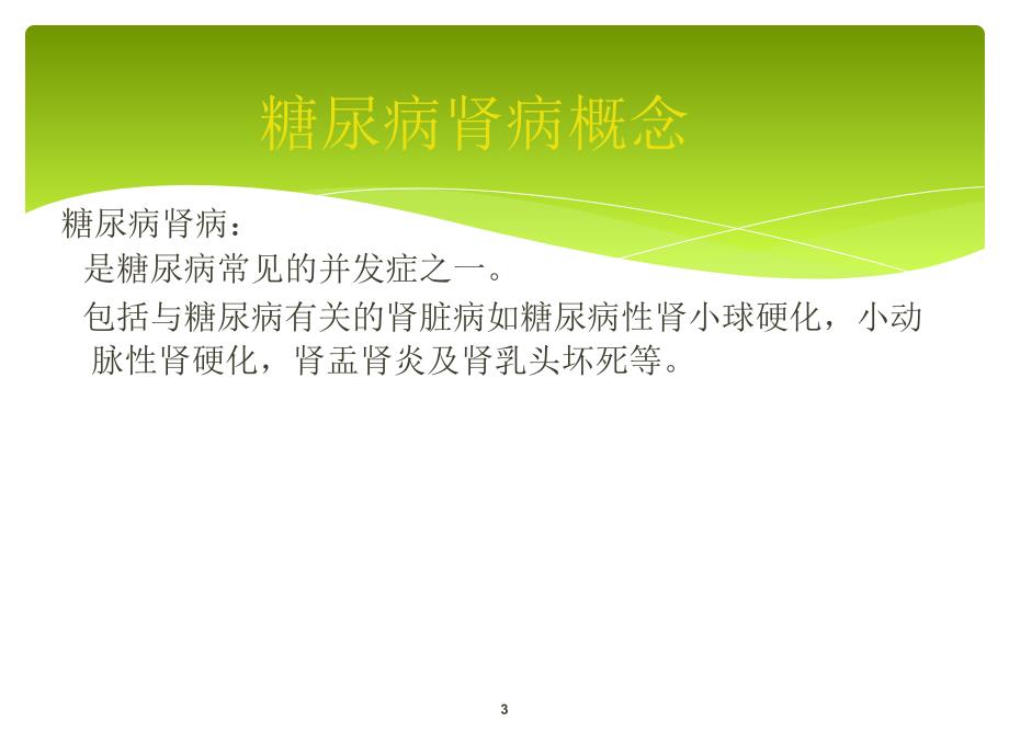 糖尿病肾病PPT演示课件.ppt_第3页