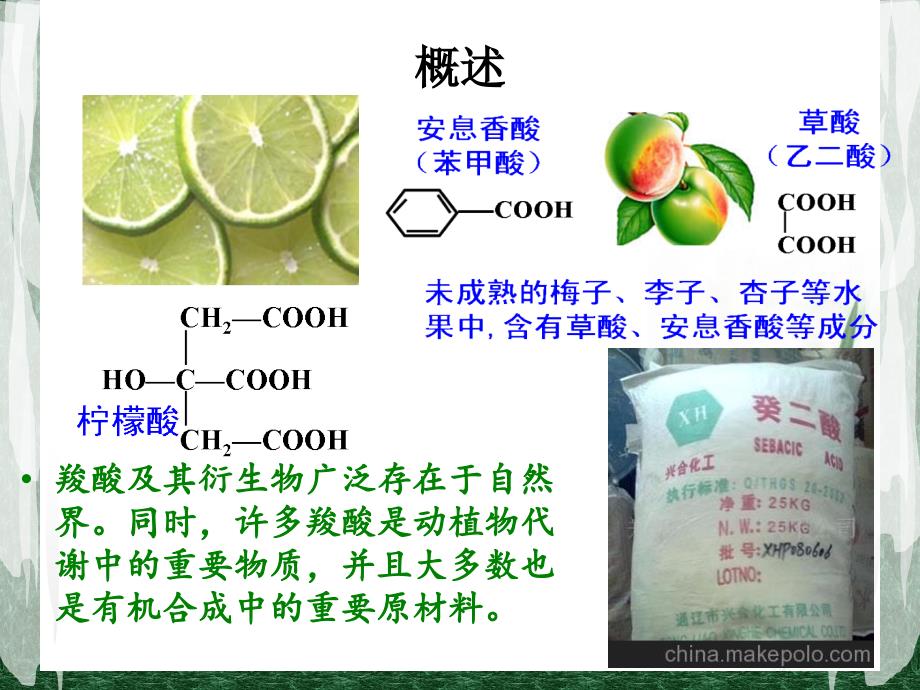 羧酸及其衍生物PPT课件.ppt_第2页