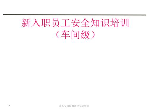 车间级新员工入职安全教育培训ppt课件.ppt