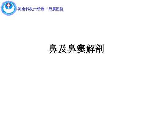 鼻及鼻窦解剖PPT课件.ppt