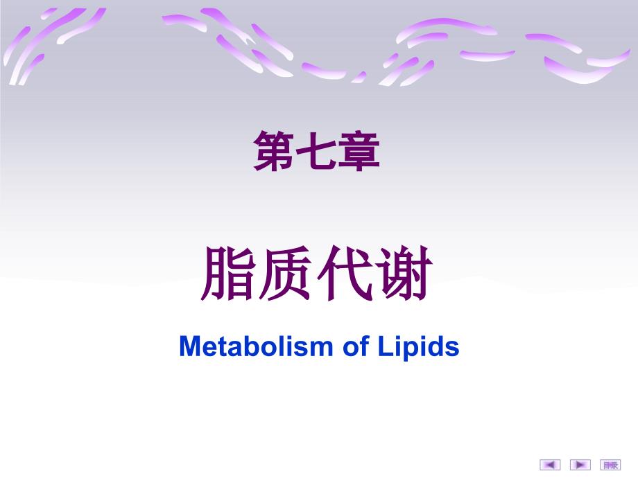 脂质代谢PPT课件.ppt_第1页