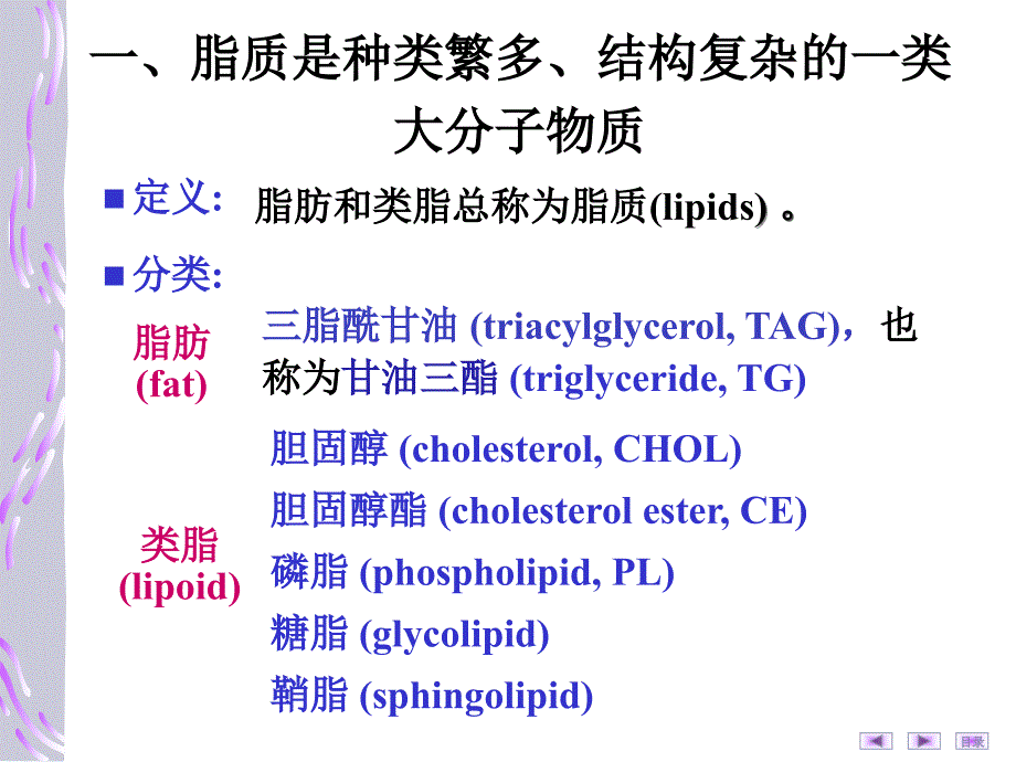 脂质代谢PPT课件.ppt_第3页
