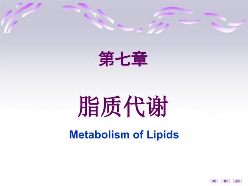脂质代谢PPT课件.ppt