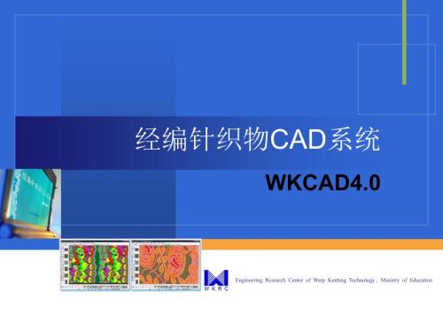 经编针织物CAD系统.ppt