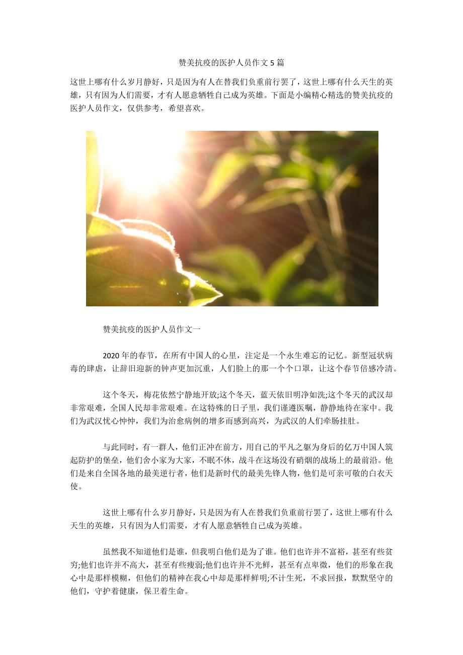 赞美抗疫的医护人员作文5篇.docx_第1页