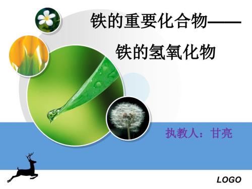 铁的氢氧化物PPT课件.ppt
