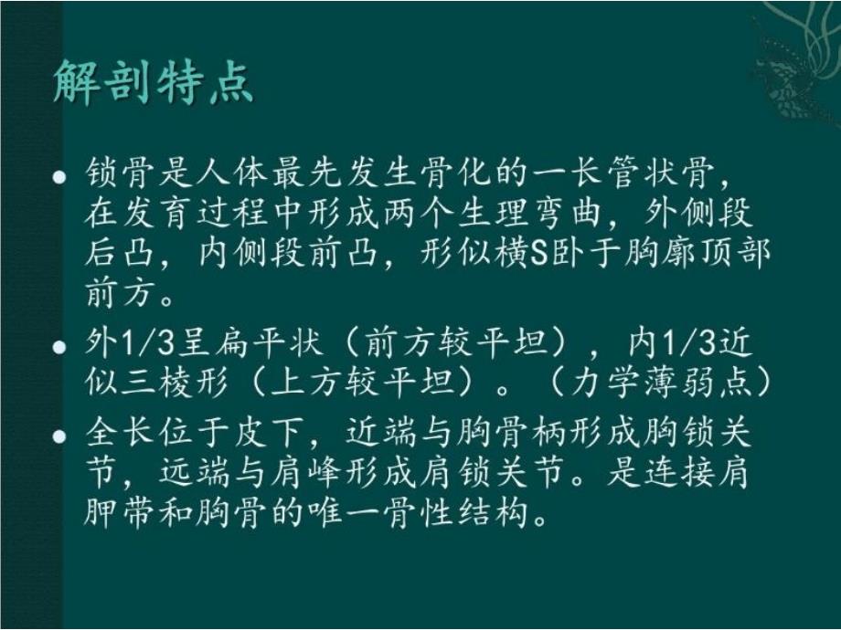 锁骨远端骨折.ppt_第2页