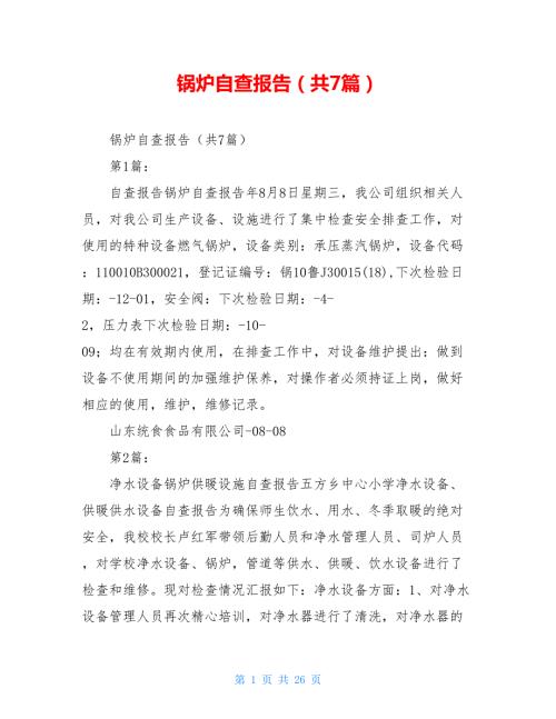 锅炉自查报告共7篇.doc