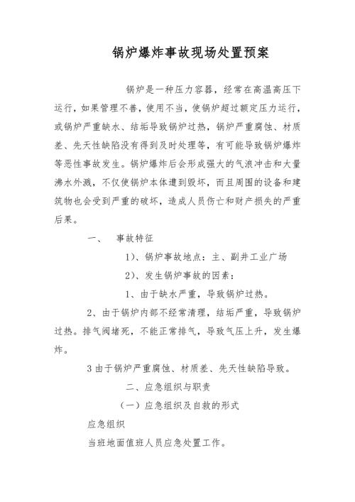 锅炉爆炸事故现场处置预案范文.docx