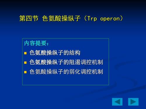 色氨酸操纵子PPT课件.ppt