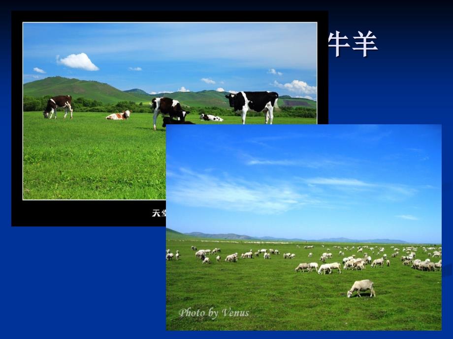 食品药品安全知识进校园.ppt_第3页