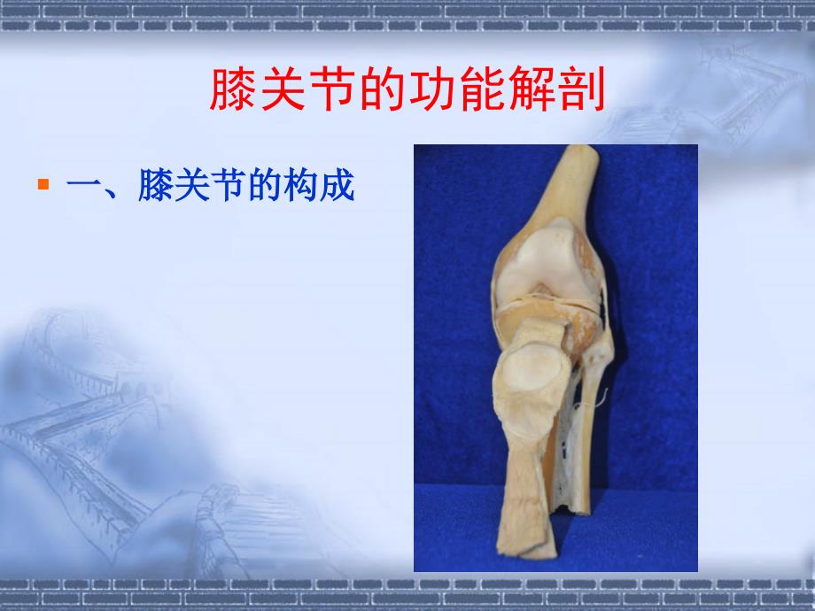 膝关节疼痛的针刀治疗ppt课件.ppt_第2页