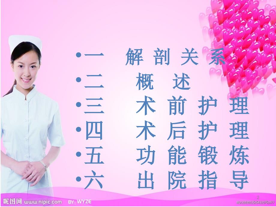 骨盆截骨术的护理ppt课件.ppt_第2页