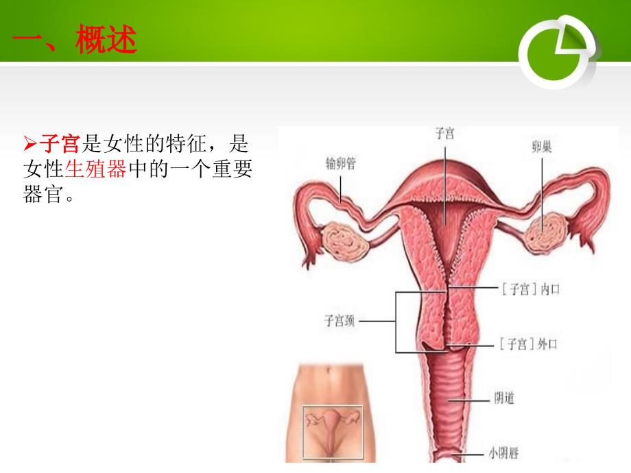 经腹全子宫切除术的手术配合课件.ppt_第3页