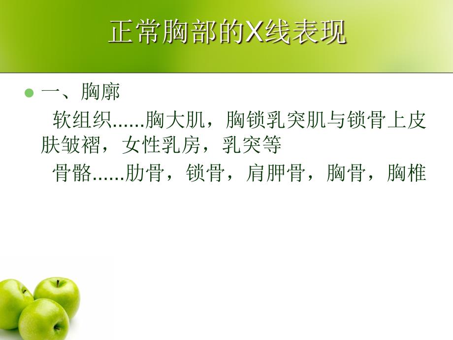 肺部常见病X线诊断ppt课件.ppt_第2页