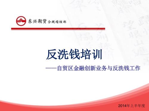 自贸区金融创新业务与反洗钱工作培训讲座PPT.ppt