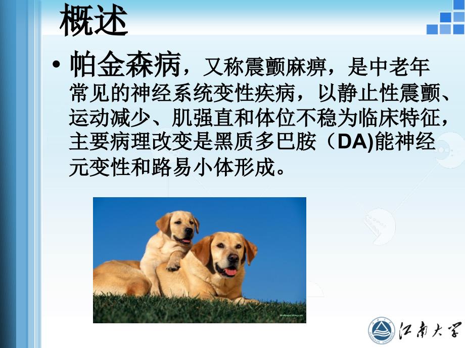 神经内科小讲课.ppt_第3页