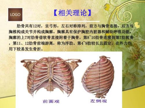 肋骨骨折病人的护理.ppt