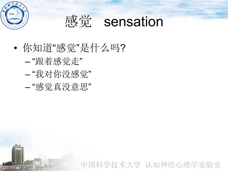 认知心理学感觉和知觉.ppt_第2页