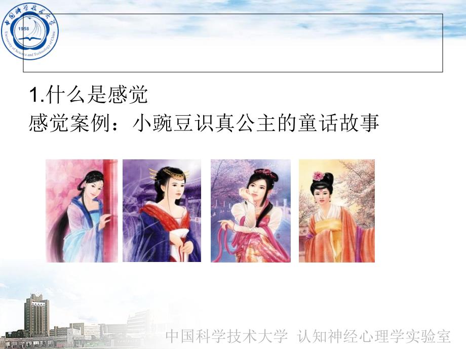 认知心理学感觉和知觉.ppt_第3页