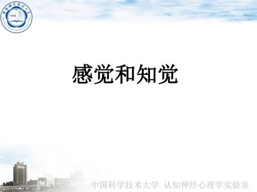 认知心理学感觉和知觉.ppt