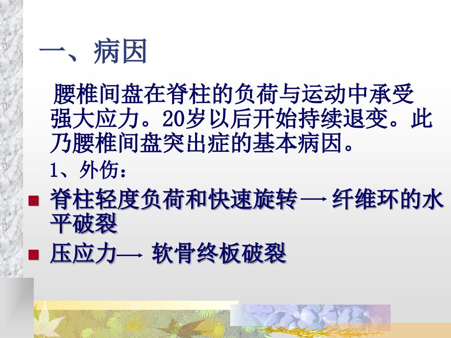 腰椎间盘突出症教学查房PPT精选文档.ppt_第3页