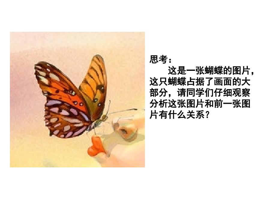 追寻美术家的视线.ppt_第3页