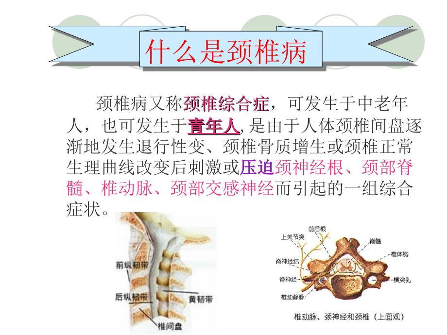 颈椎病术后的护理课件.ppt_第2页