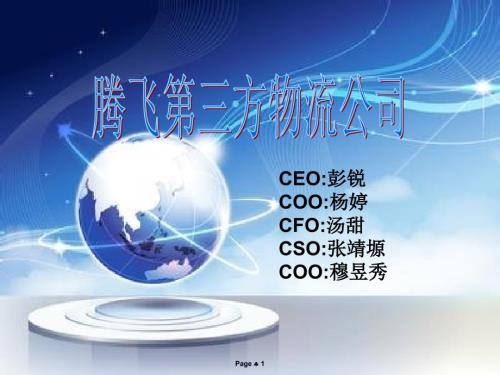 腾飞第三方物流公司策划案.ppt