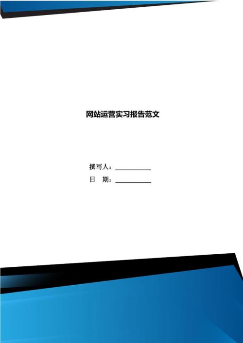 网站运营实习报告范文.doc