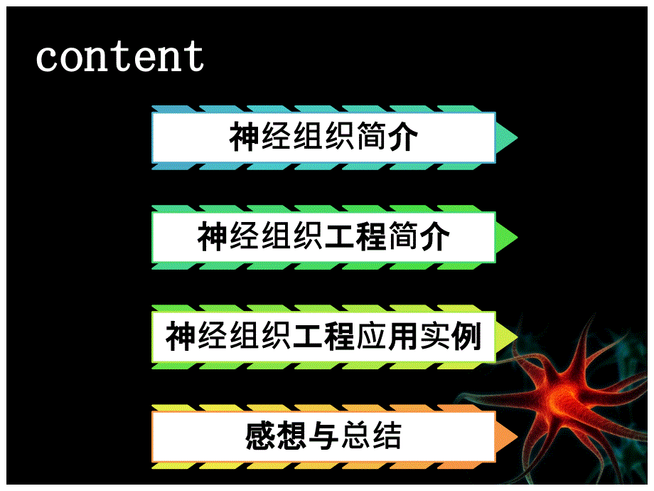神经组织工程副本.ppt_第2页