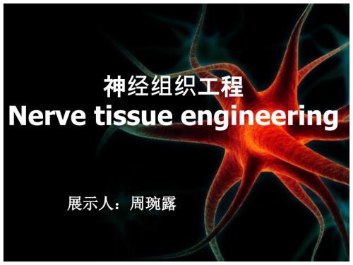 神经组织工程副本.ppt