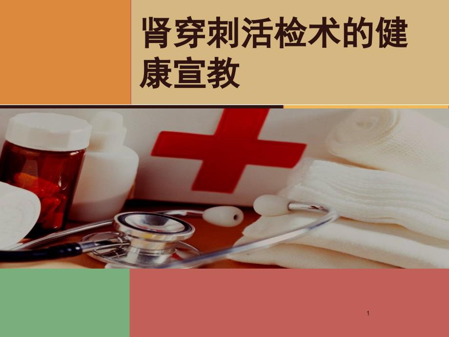 肾穿健康指导ppt课件.ppt_第1页