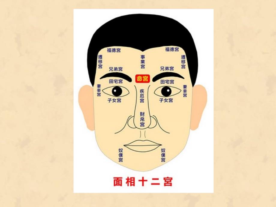 面相学之鼻相PPT课件.ppt_第2页