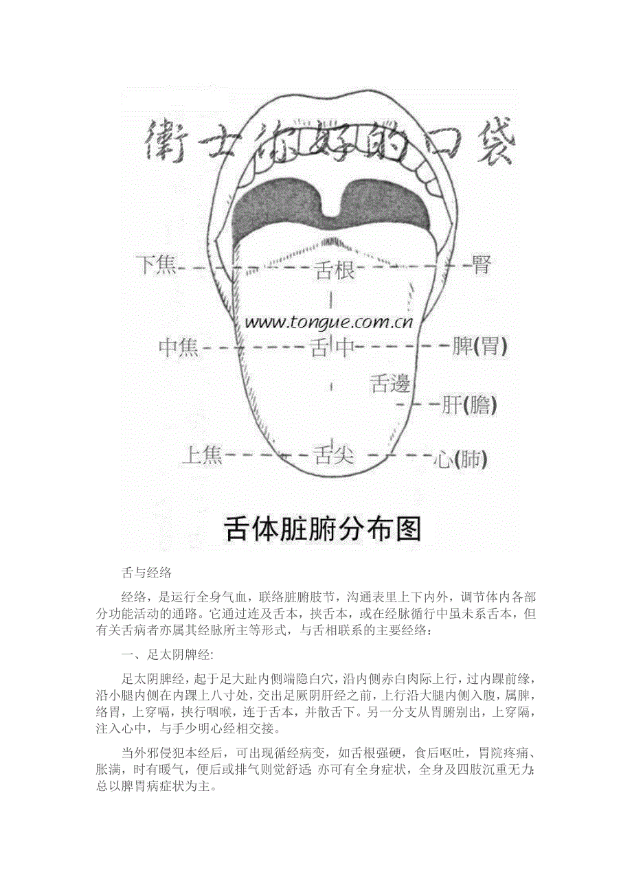 舌与脏腑经络之间的关系.doc_第2页