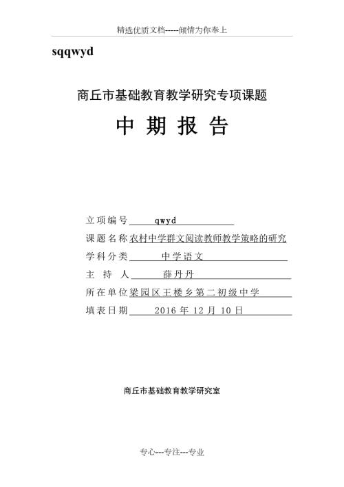 群文阅读中期报告.doc