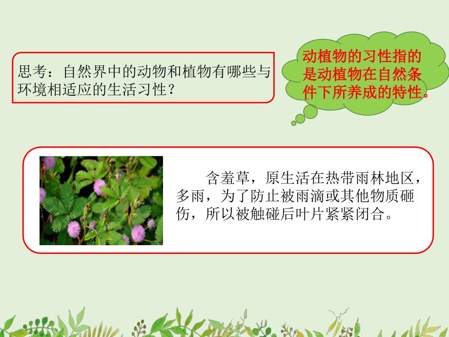 第七课燕子南飞课件ppt.ppt_第1页