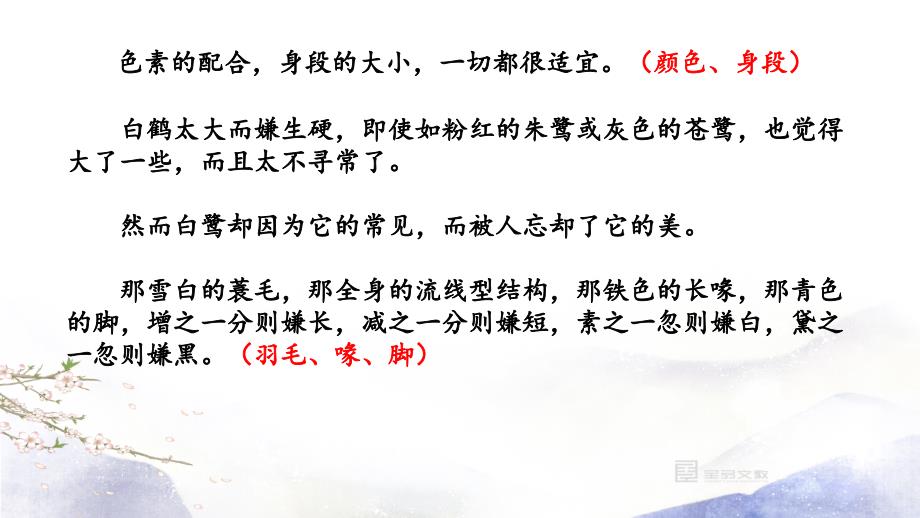 部编版五上初试身手改写白鹭成说明文.ppt_第3页
