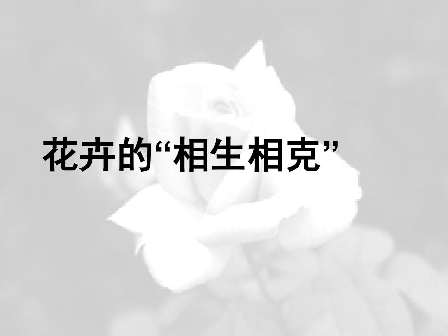 花卉的相生相克PPT课件.ppt_第1页