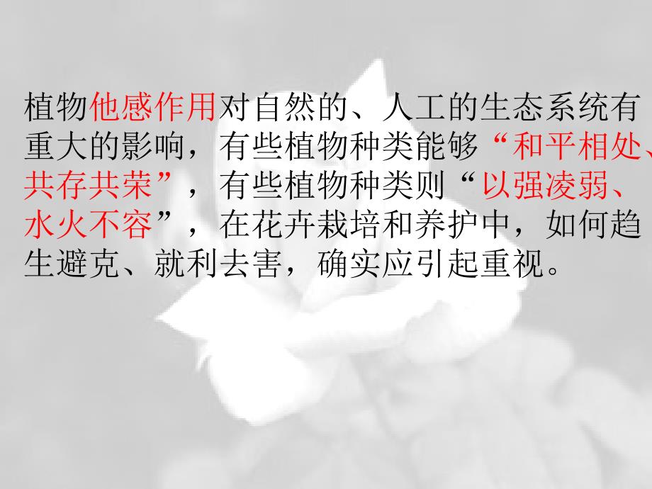 花卉的相生相克PPT课件.ppt_第2页
