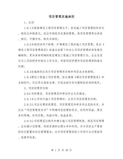 项目管理实施细则.doc