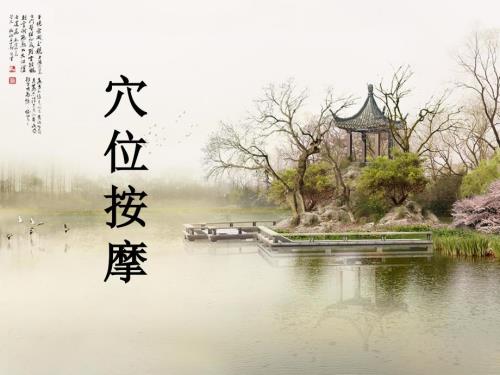 穴位按摩PPT课件.ppt