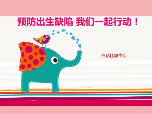 预防出生缺陷ppt课件.ppt