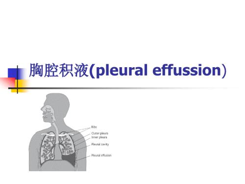 胸腔积液PPT课件.ppt