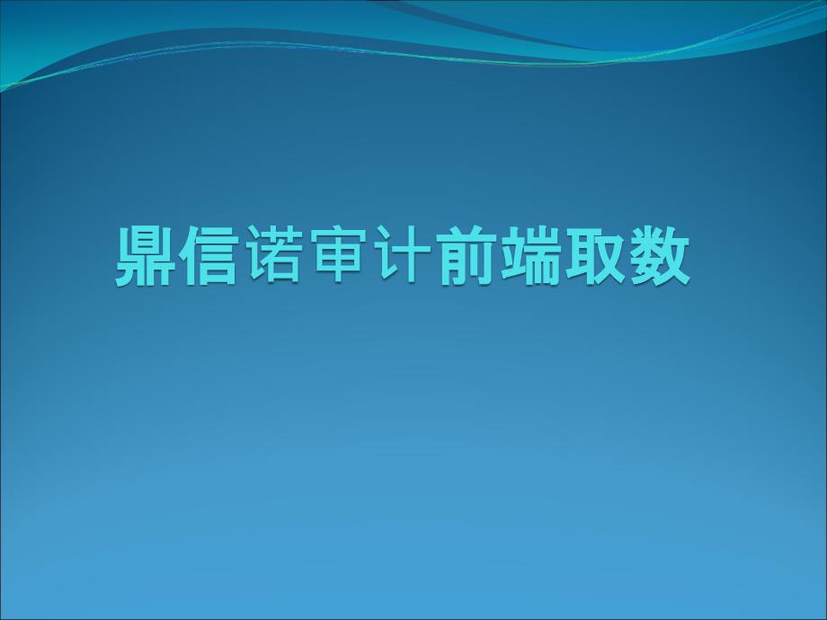 鼎信诺审计前端取数讲解最新.ppt_第1页