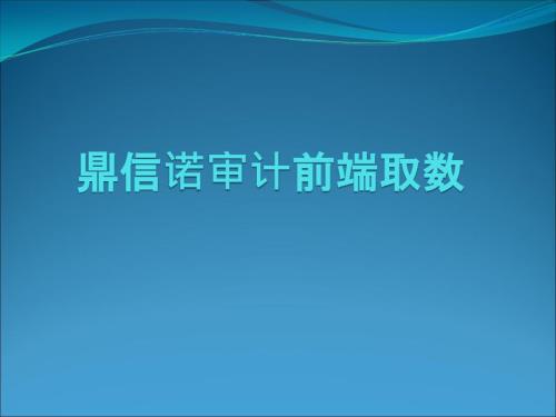 鼎信诺审计前端取数讲解最新.ppt