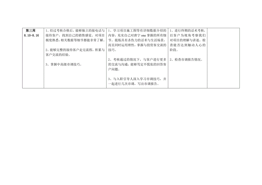 龙湖绽放生入职发展计划.doc_第3页
