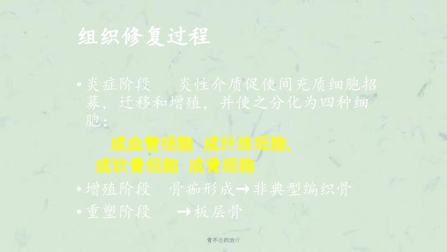 骨不连的治疗课件.ppt_第3页