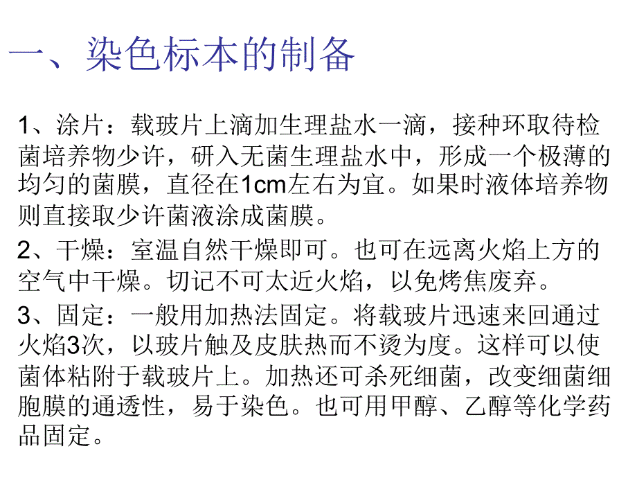 革兰氏染色PPT课件.ppt_第2页