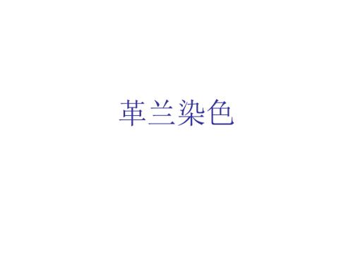 革兰氏染色PPT课件.ppt